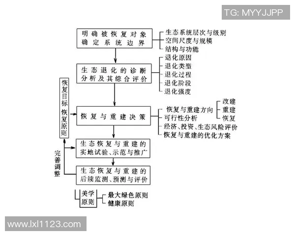武汉羽毛球队心理素质探讨与提升策略分析 武汉羽毛球队心理素质探讨与提升策略分析