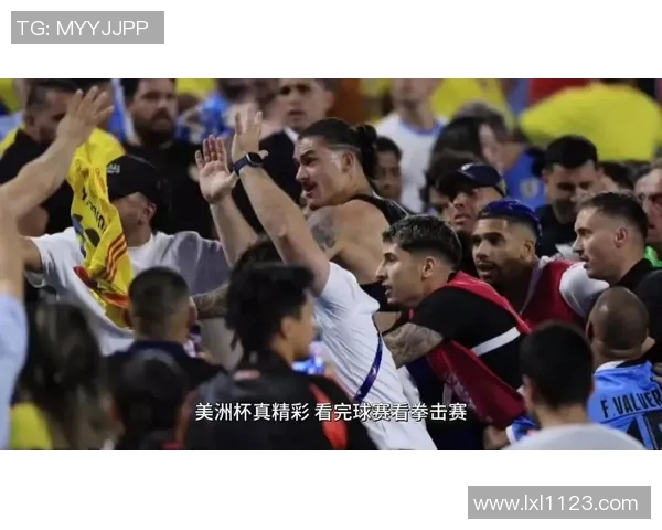 拳击选手为何青睐足球明星背后的故事与启示