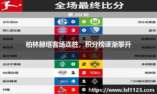 完美体育平台