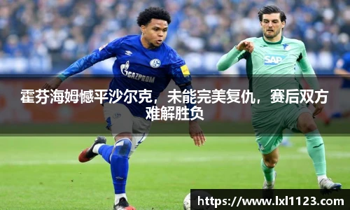完美体育平台