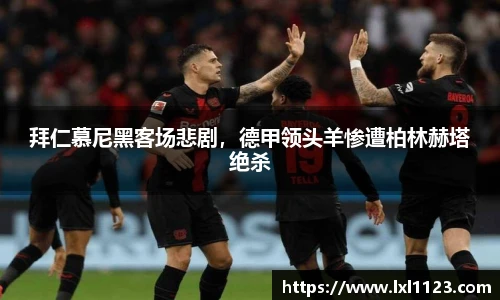 完美体育365WM平台官网