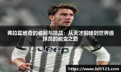 弗拉霍维奇的崛起与挑战：从天才前锋到世界级球员的蜕变之路